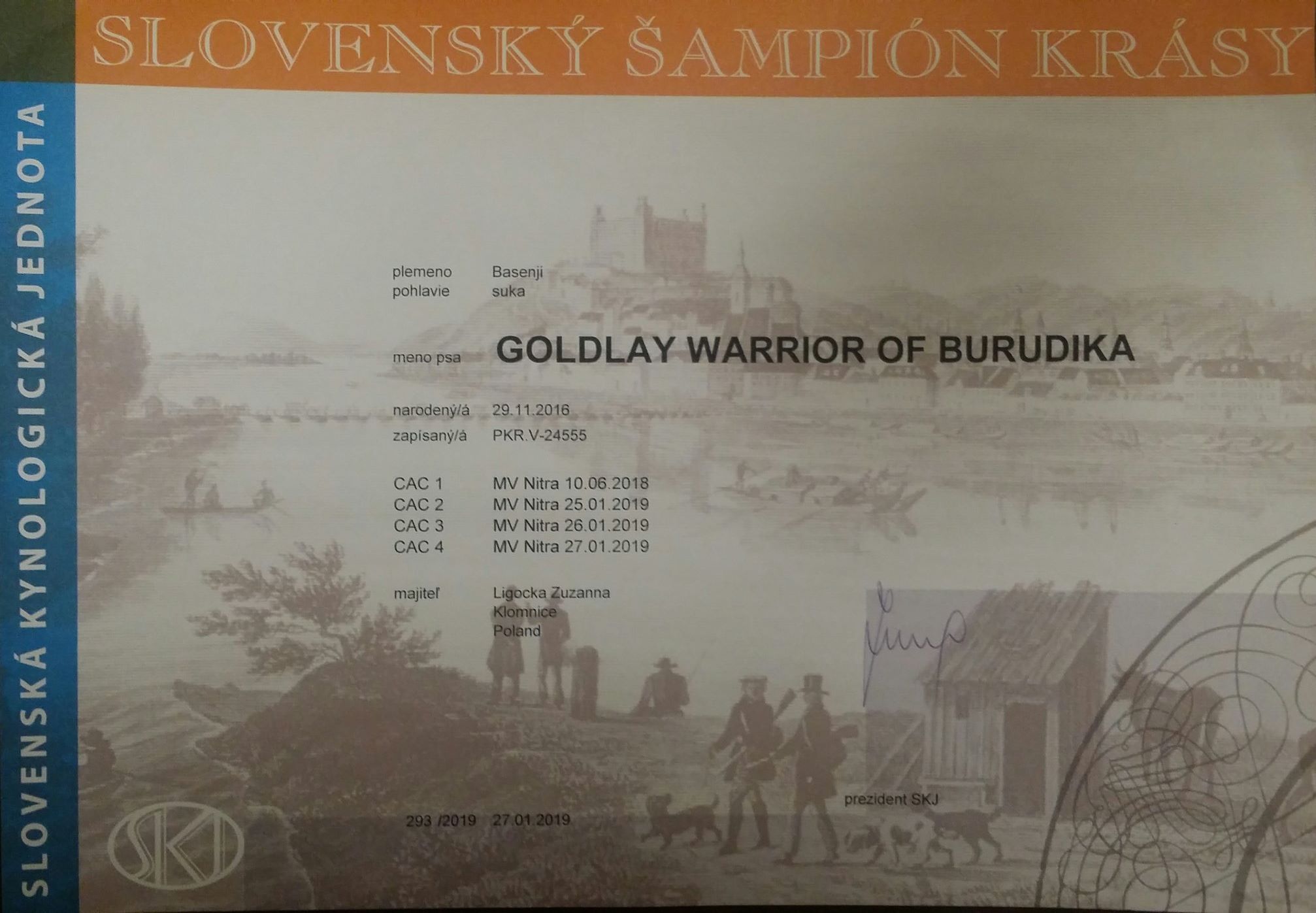 goldi