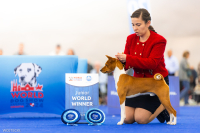 Cheetos Młodzieżowym Zwycięzcą Świata !!!