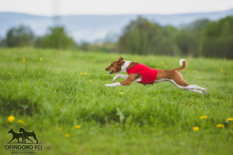 01.05.18 Coursing Rybnica