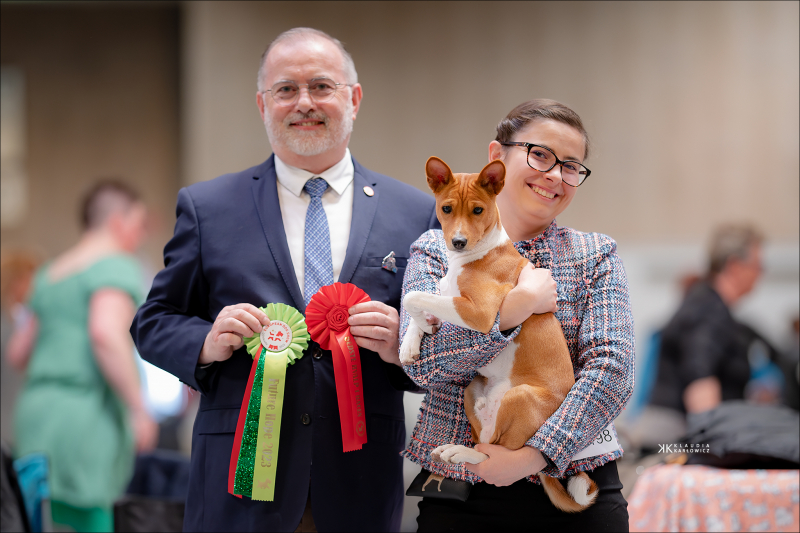 Euro Dog Show Herning (Denmark)