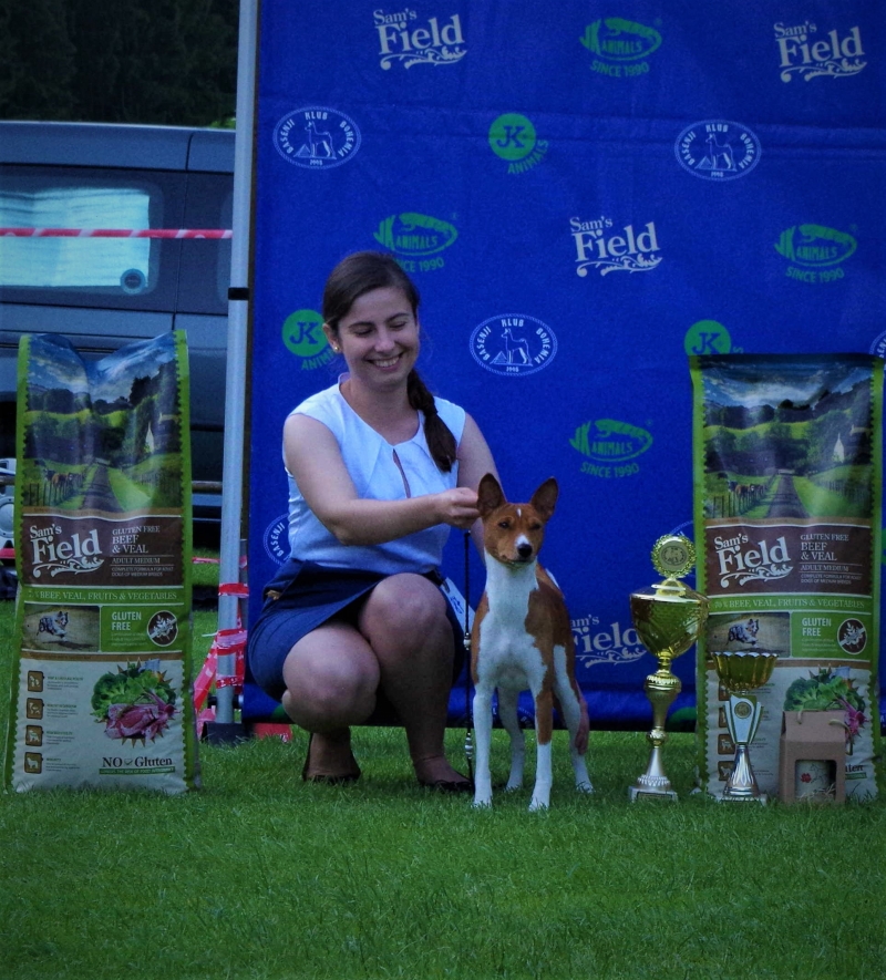 21 Klubowa wystawa Basenji w Czechach 08.06.19 (93 zgłoszone basenji)