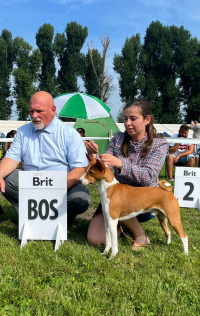 18 sierpnia wystawa w Mlada Boleslav