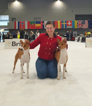 European dog show - Brno (Czech Republic)