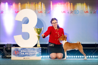 February 28, 2025 - a quick trip to Bratislava