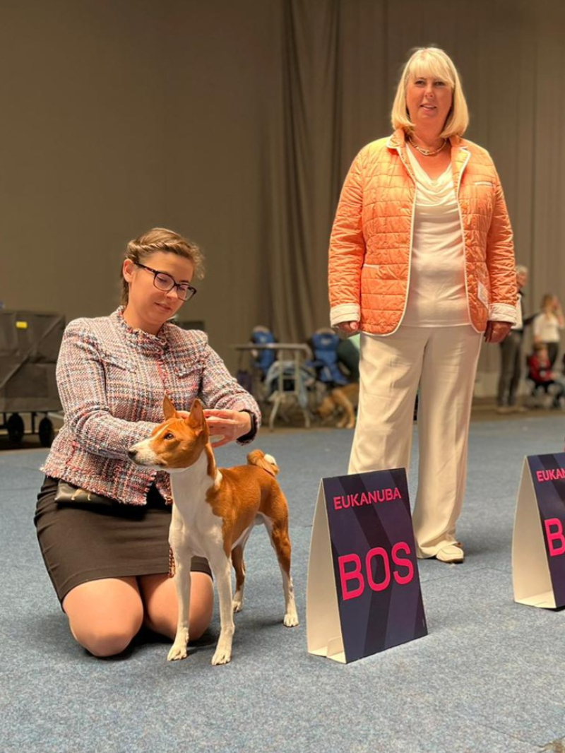 03.06.2023 International Dog Show Erfurt (Germany)